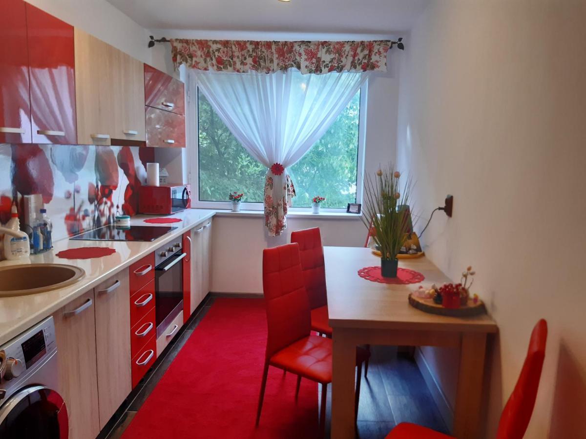 Appartement Apartament R&A à Orşova Extérieur photo