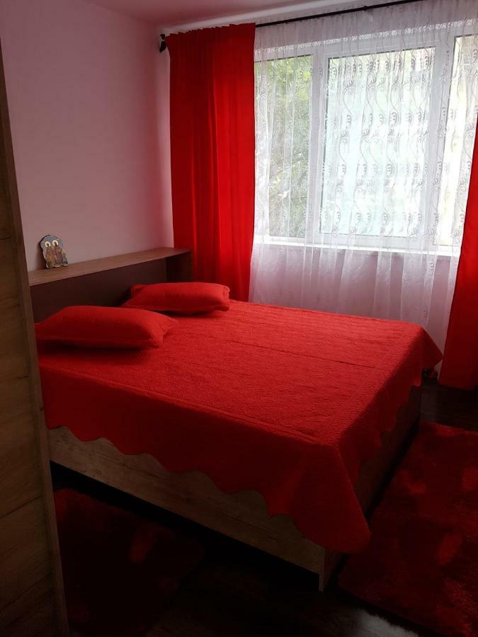 Appartement Apartament R&A à Orşova Extérieur photo